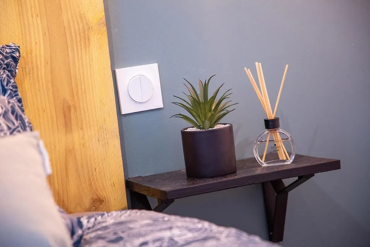 아파트 Le Coup De Coeur - Proche Sanctuaire Et Commerces - Wifi - Neuf 루르드